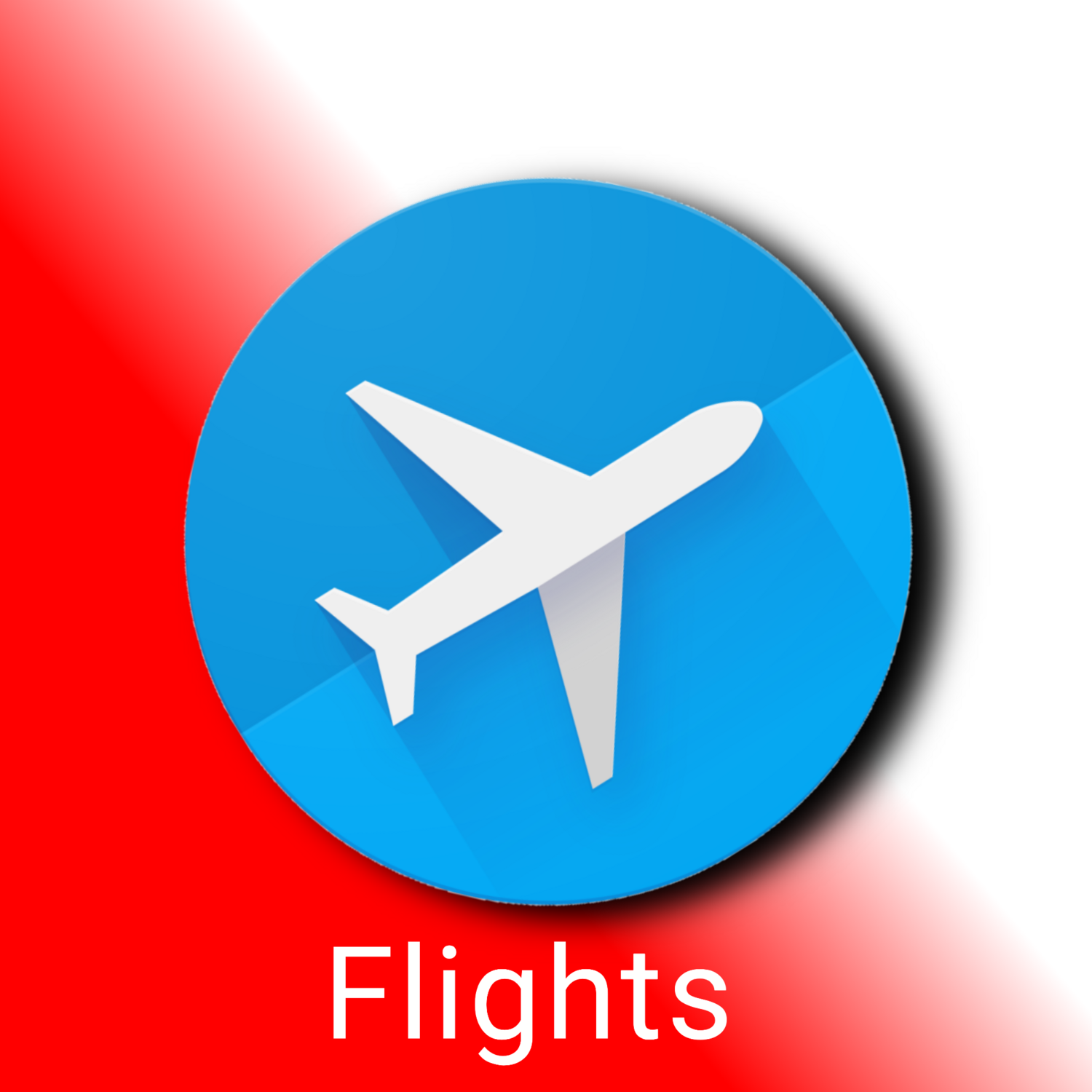 Flight Bookings