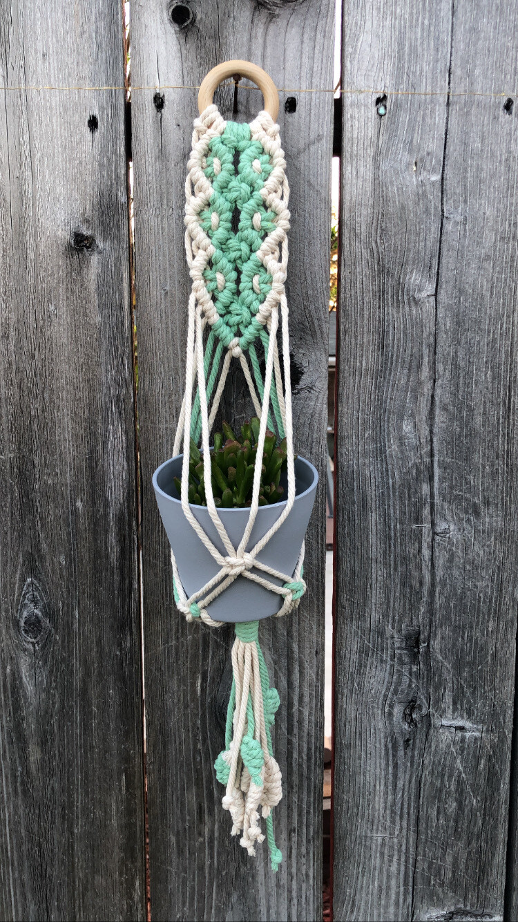 Wall Plant Hanger-Cream/Mint