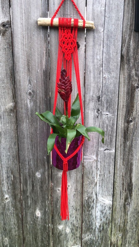 Celtic Knot Macrame Plant Hangers