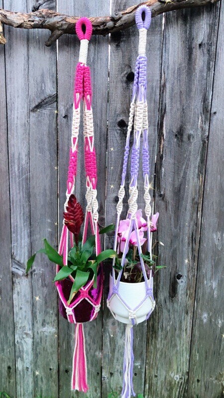 Two-toned Plant Hangers