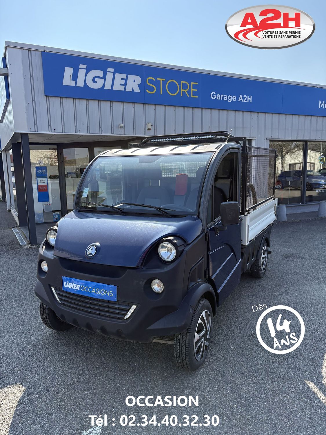 AIXAM D-TRUCK PLATEAU RIDELLE AIXAM D-TRUCK PLATEAU RIDELLE