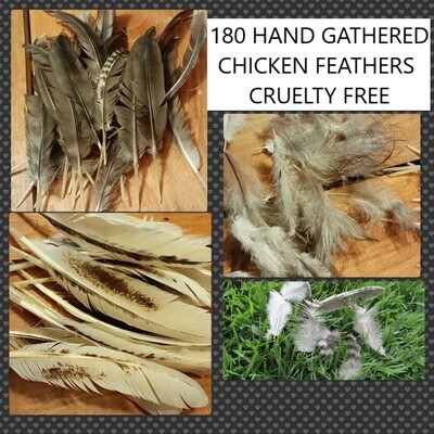 Crafting Supplies