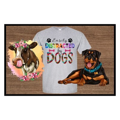 Animal PNG Designs