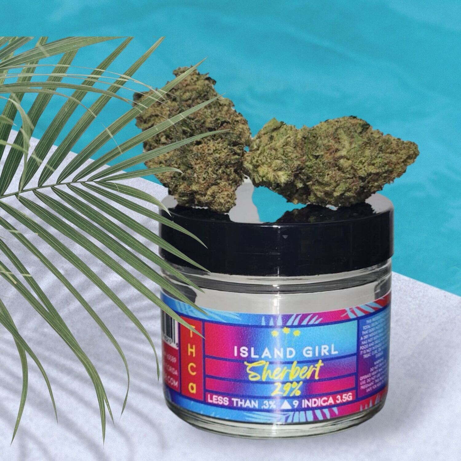 THC-a FLOWER SHERBERT