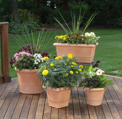 Haus und Garten