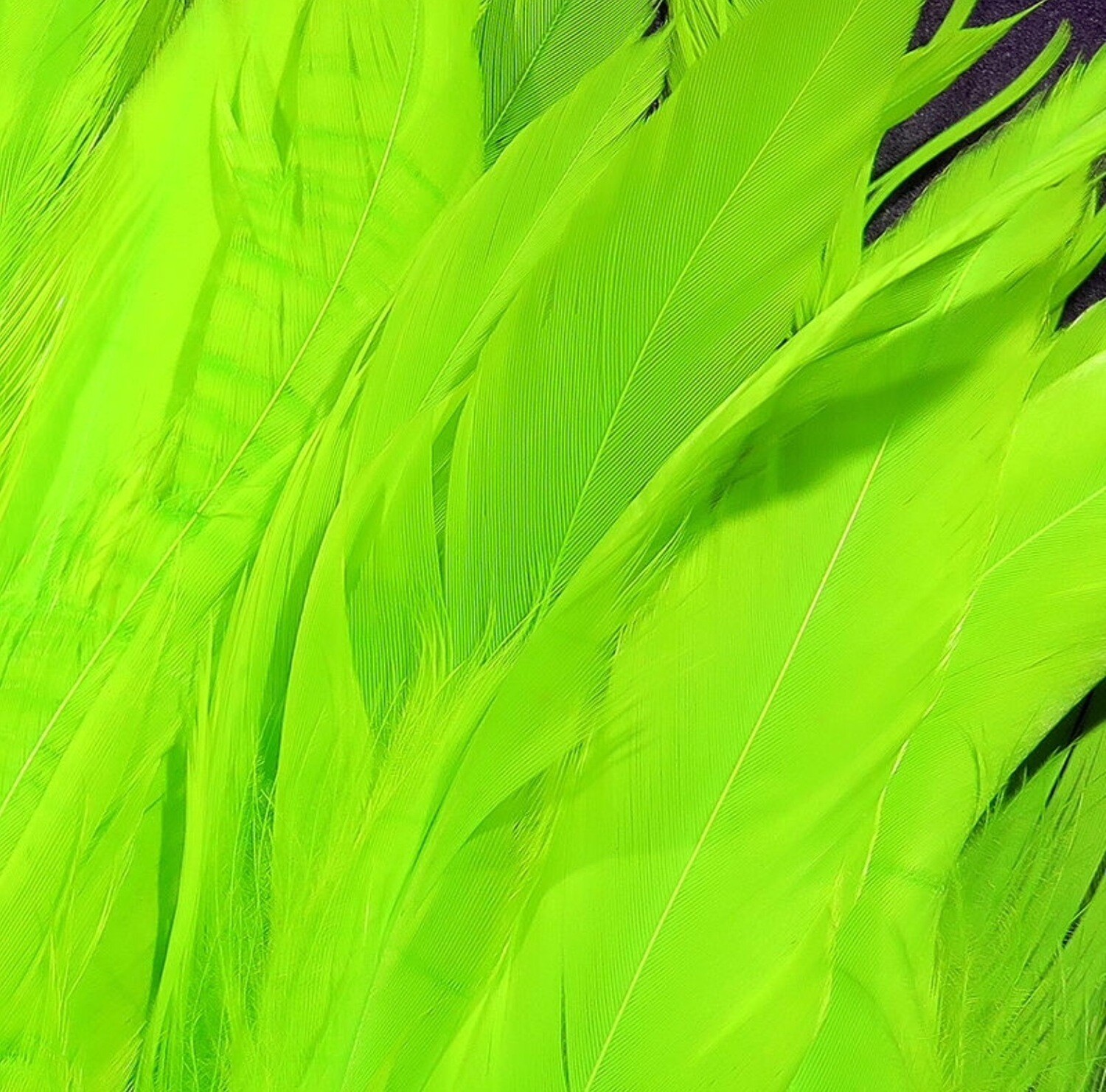 Hareline Schlappen Feathers 5-7&quot;