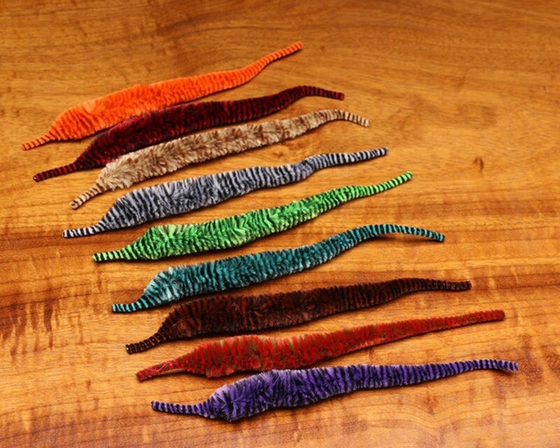 Mangum&#39;s Variegated Mini Dragon Tail