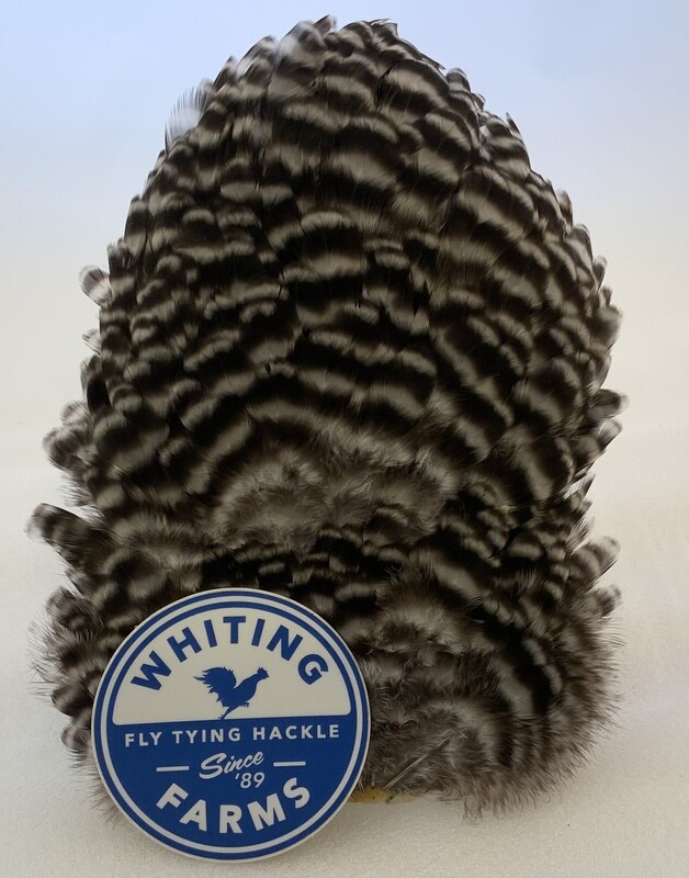 Whiting Farms 4 B&#39;s Hen Saddle