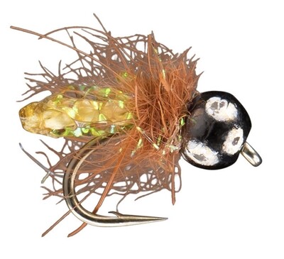 Pupa Scoopa Caddis