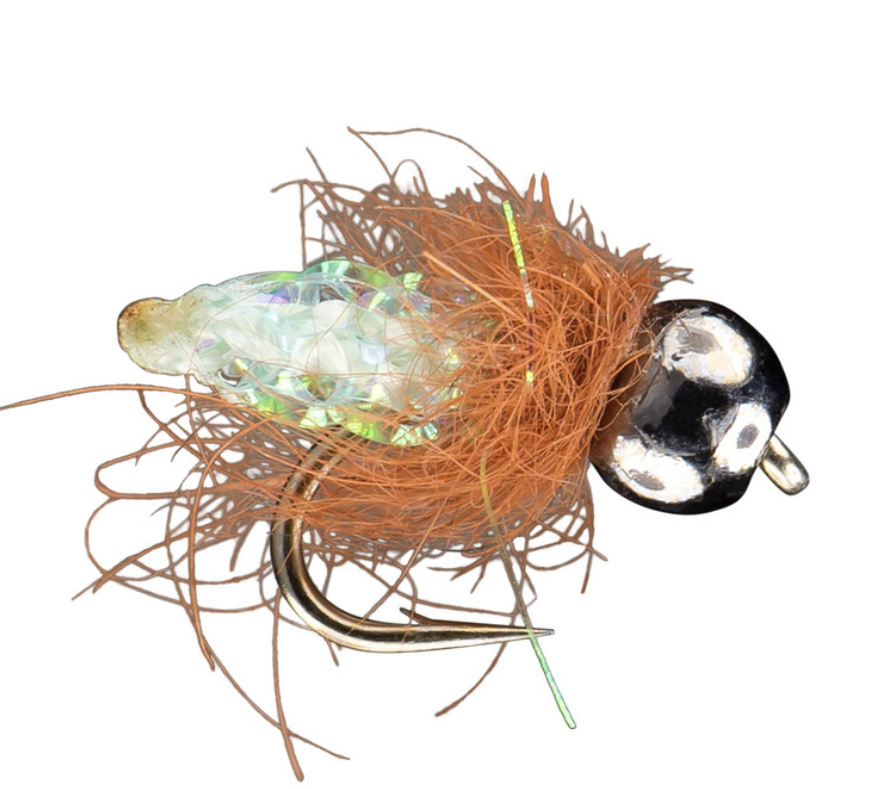 Pupa Scoopa Caddis Fly Fishing