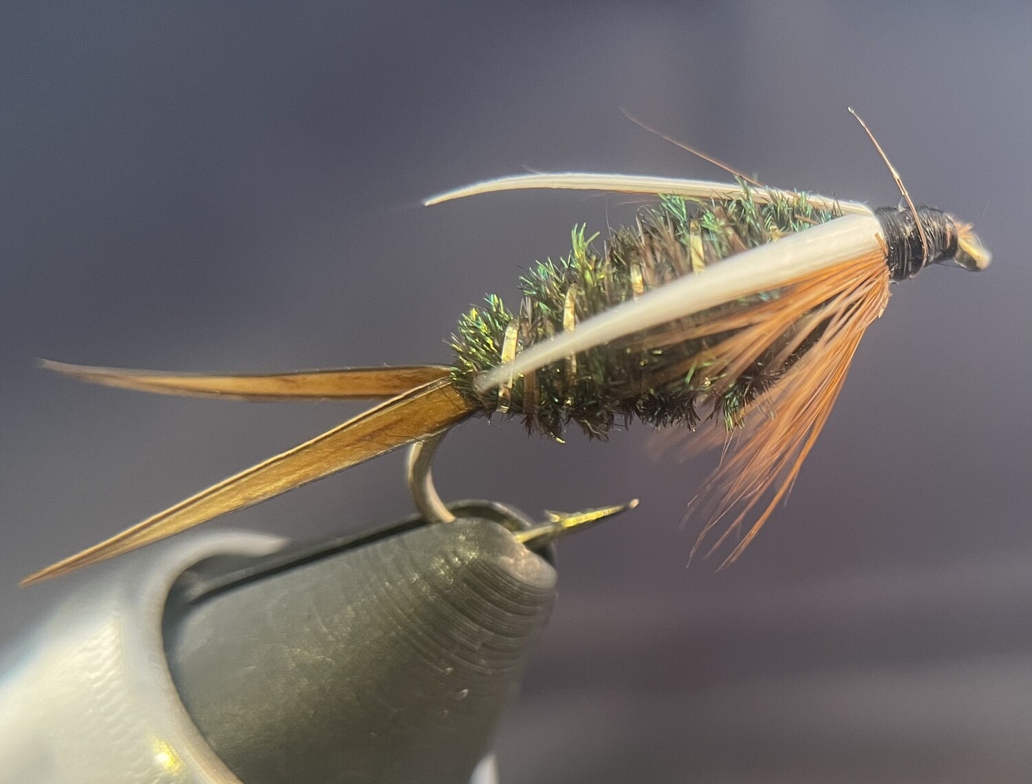 Prince Nymph