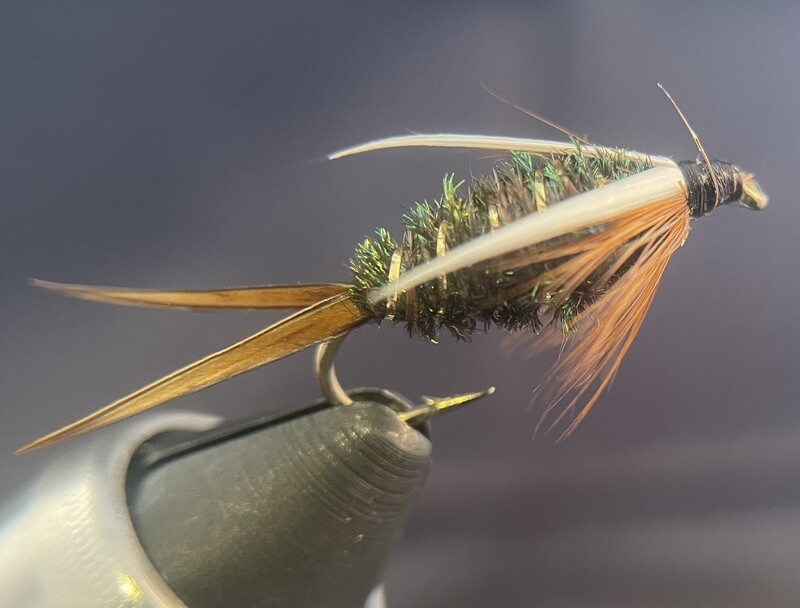 Prince Nymph