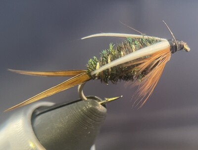 Prince Nymph
