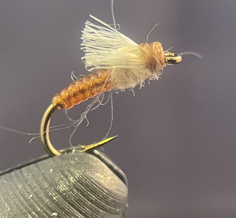 Root Beer Midge