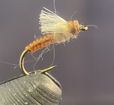 Root Beer Midge