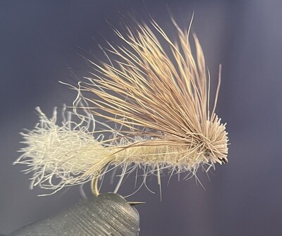 X-Caddis Dry Fly