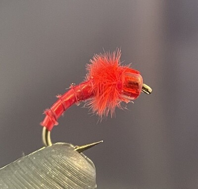 Crawford’s Quill Midge
