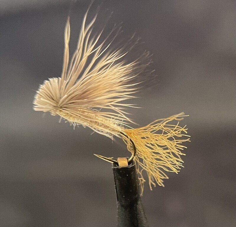 X-Caddis
