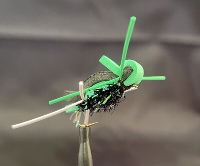 Sharp Dressed Ant