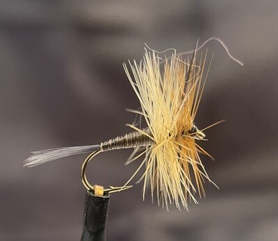 Slate Drake Dry Fly