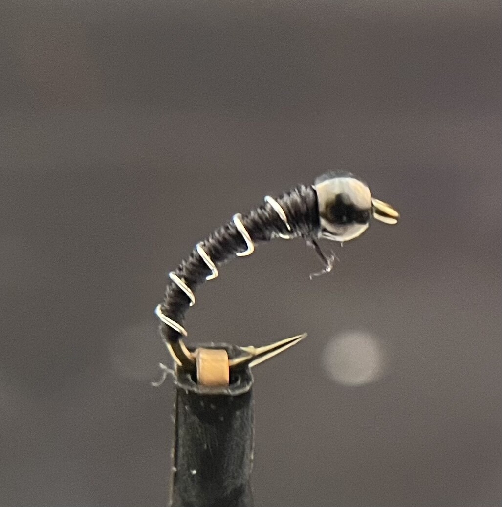 Zebra Midge Black