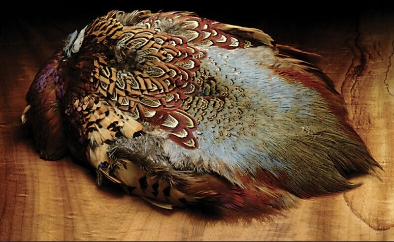 Hareline Ringneck Pheasant Skin