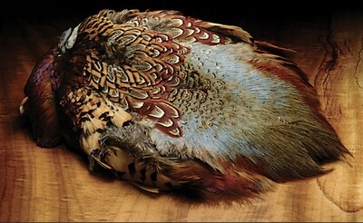 Hareline Ringneck Pheasant Skin