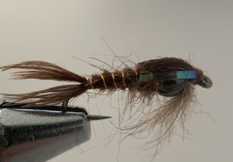 Ultimate Skipper Nymph