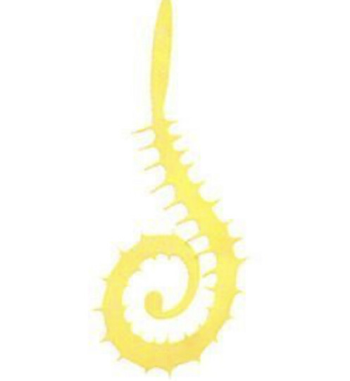 Spiked Slow Rolla Tails