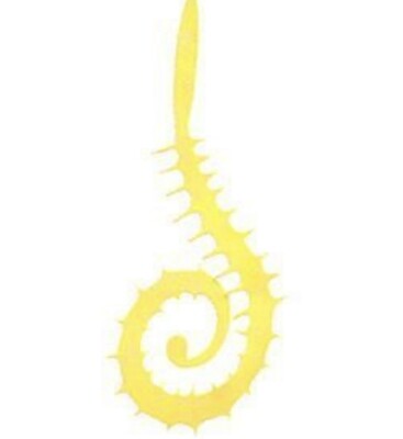 Spiked Slow Rolla Tails
