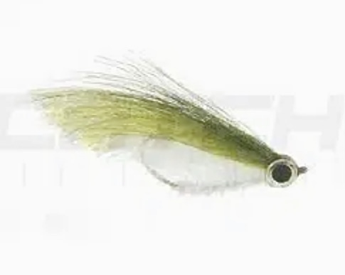 Scimitar Minnow
