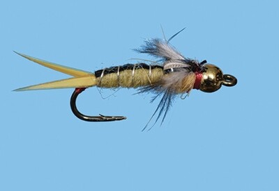 Jackson Sallie