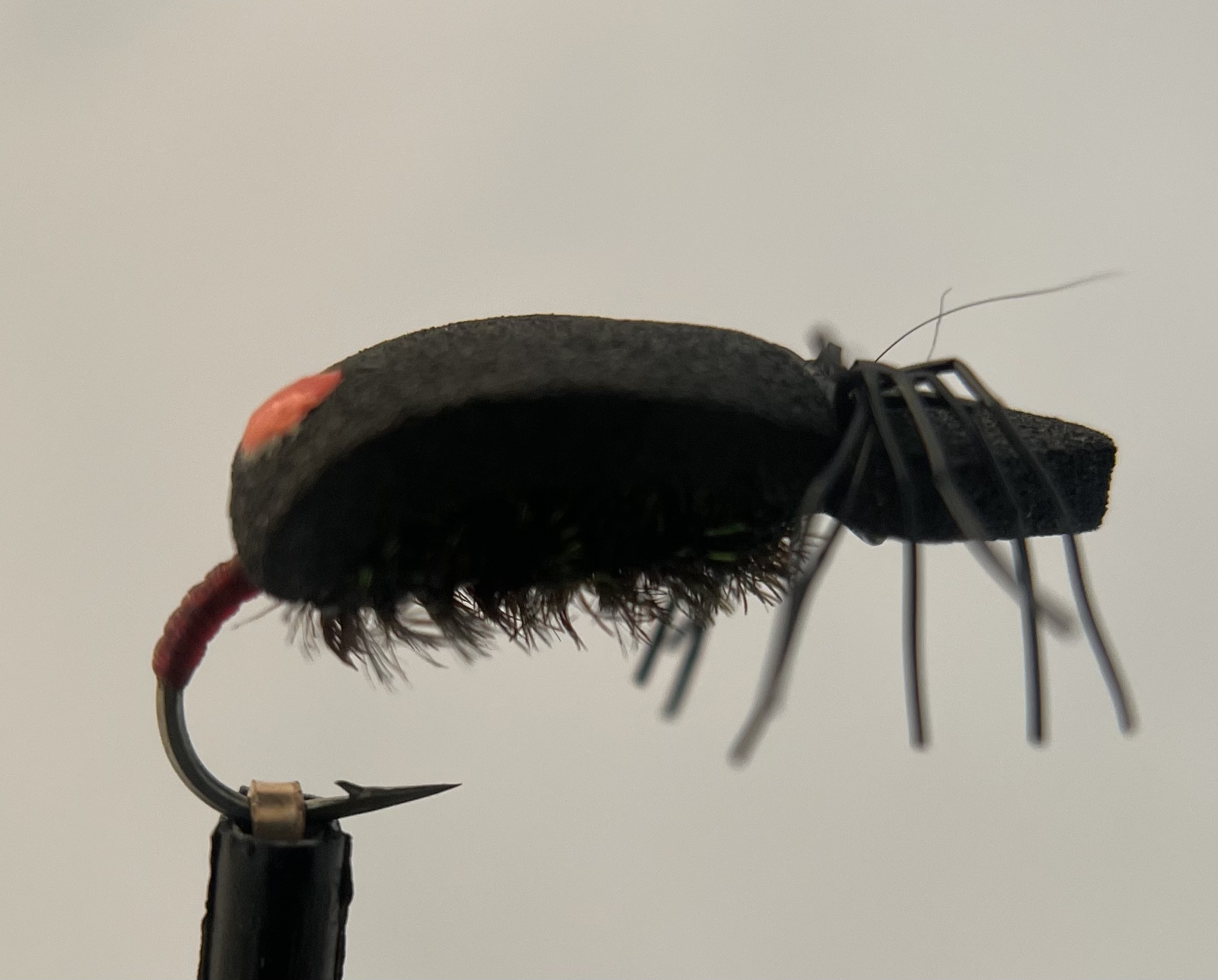 Hot Spot Foam Beetle