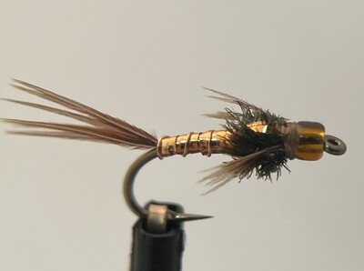 Holographic Pheasant Tail