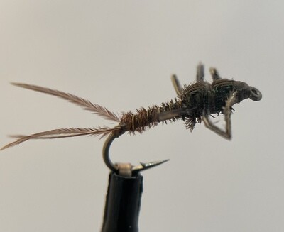 Slow Water Pheasant Tail