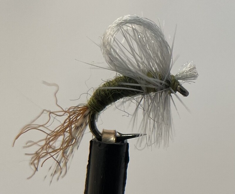 Loop Wing BWO