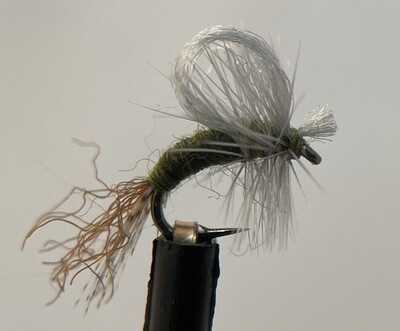 Loop Wing BWO