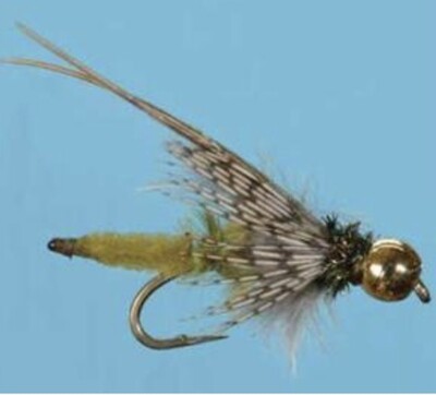 Bead Head Extended Body Caddis Nymph