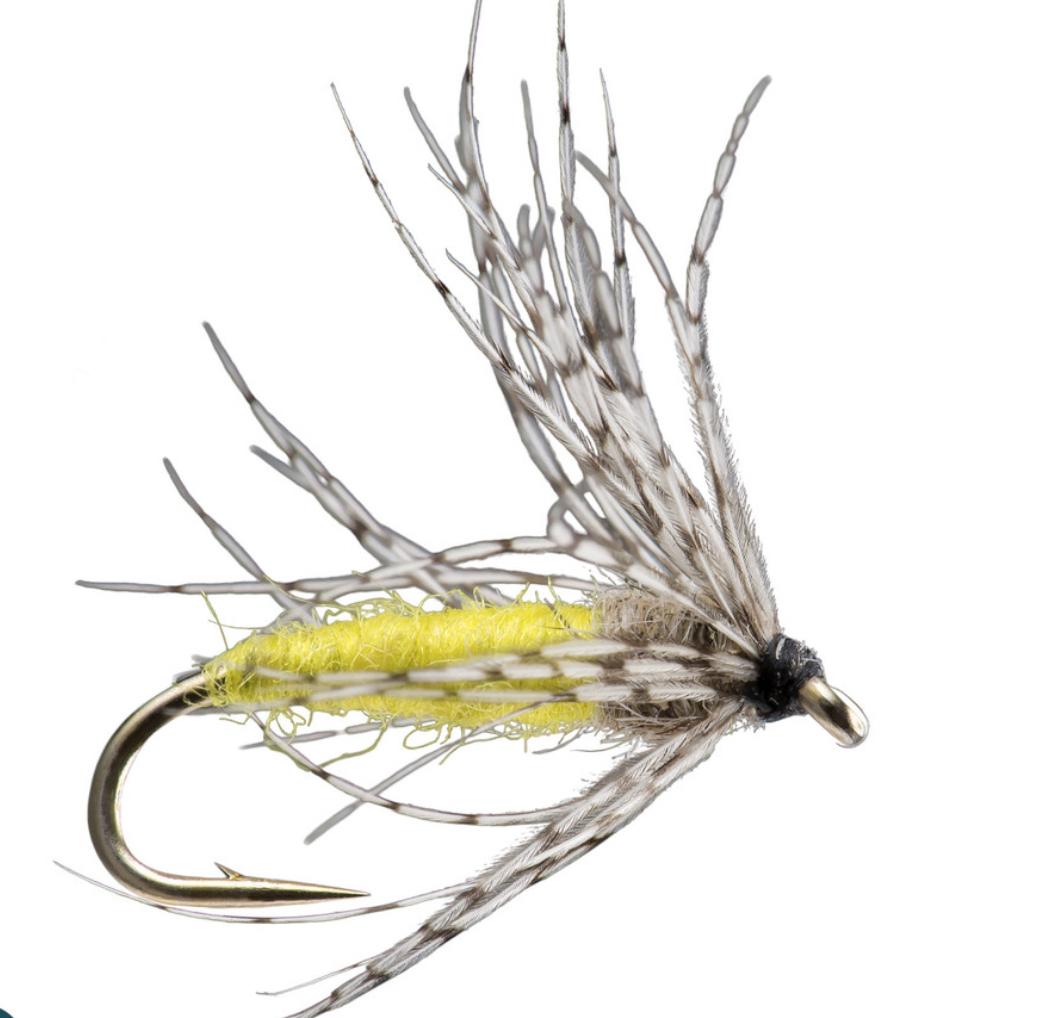 Partridge Soft Hackle