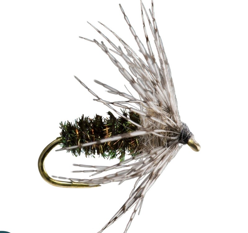 Partridge Soft Hackle