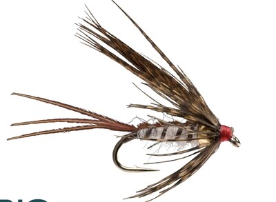 March Brown Emerger
