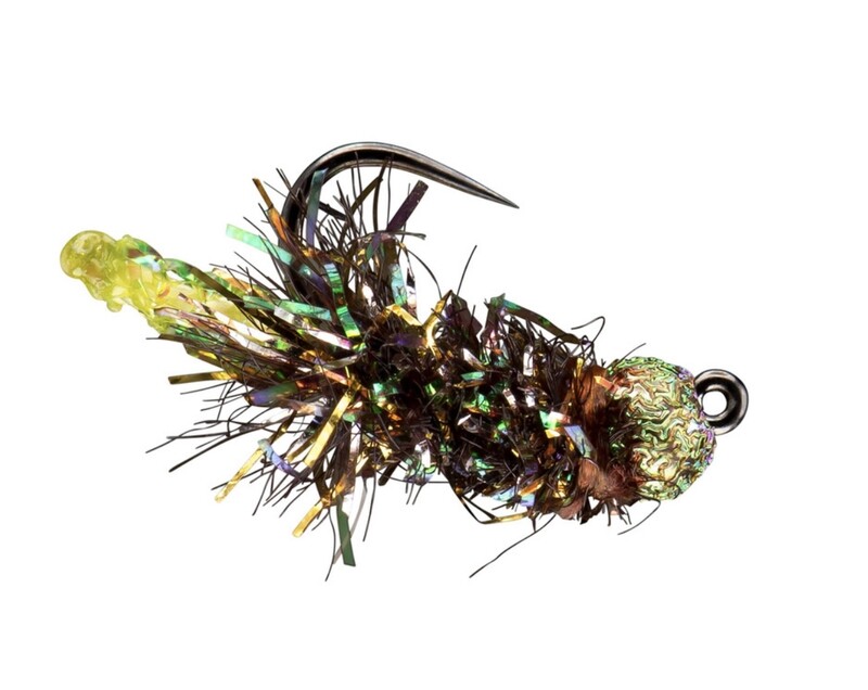 Peeping Caddis