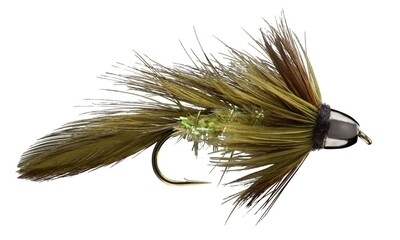 Olive Blossom Special