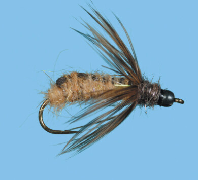 Bead Head October Caddis Size 8