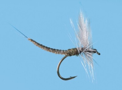 BWO Extended Body Dun