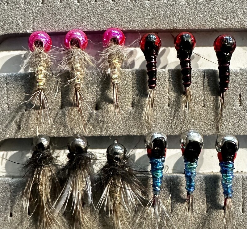 12 piece Tungsten Jig Nymph Assortment (Size 14) 