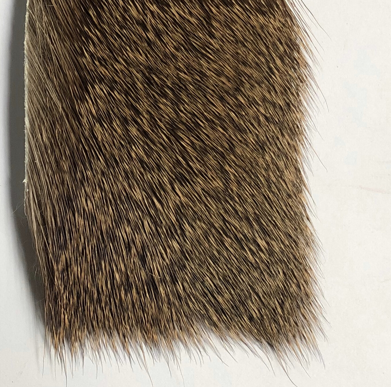 Hareline&#39;s Coastal Deer Hair