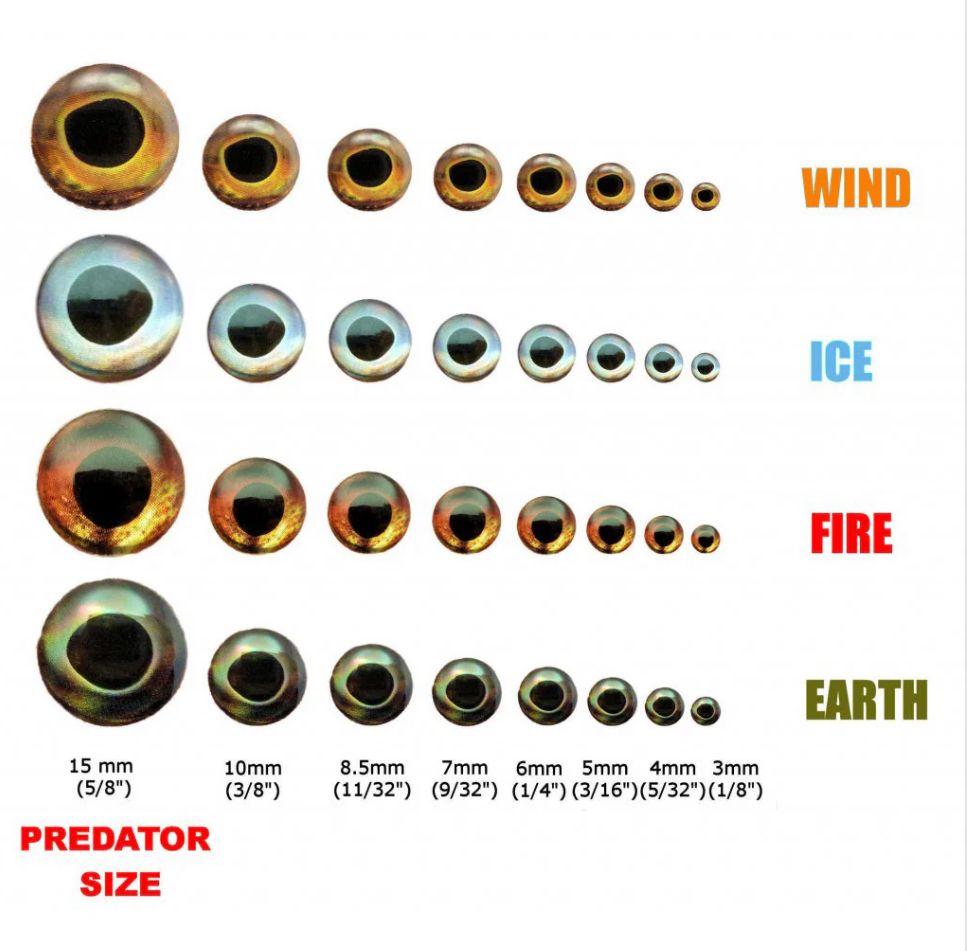 Fish Skull Living Eyes