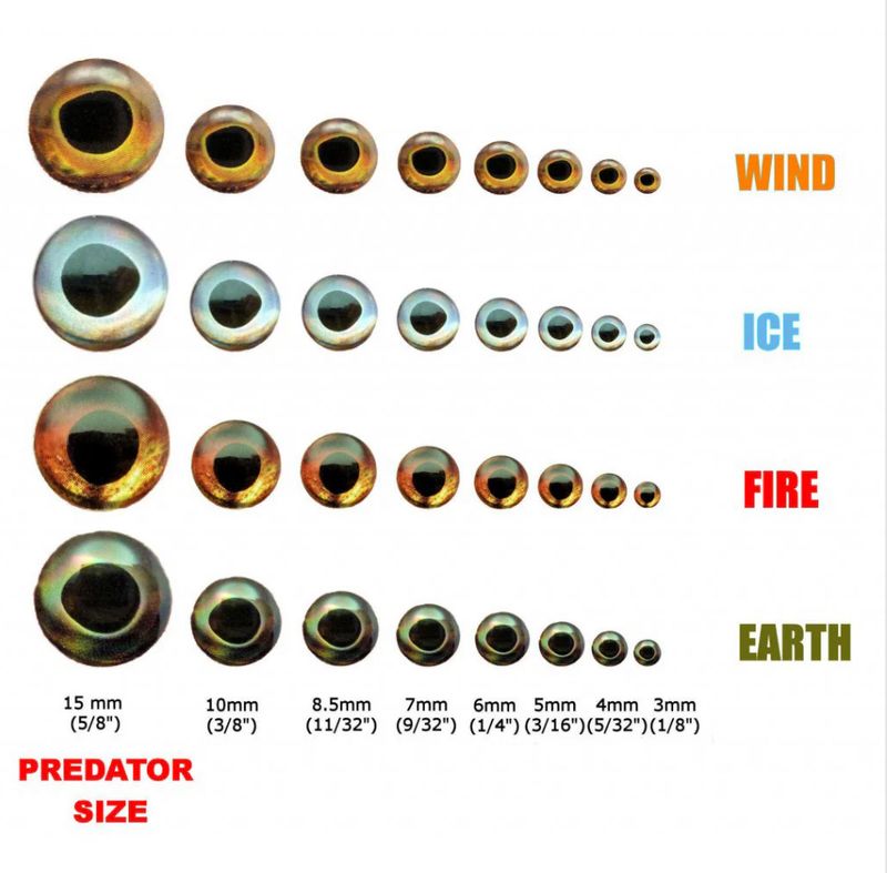 Fish Skull Living Eyes