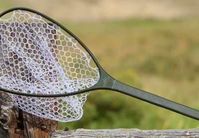 Fishpond Nomad Mid Length Nets
